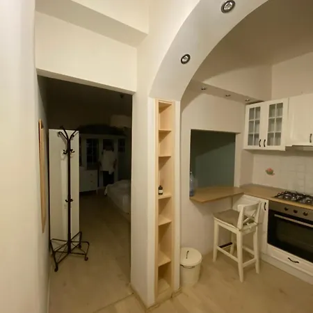 One Bedroom Center Apartment *